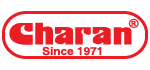 Your Company